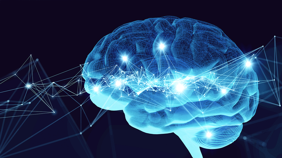 Noninvasive brain tech and AI moves robotic hand with thought Melbourne Accountant